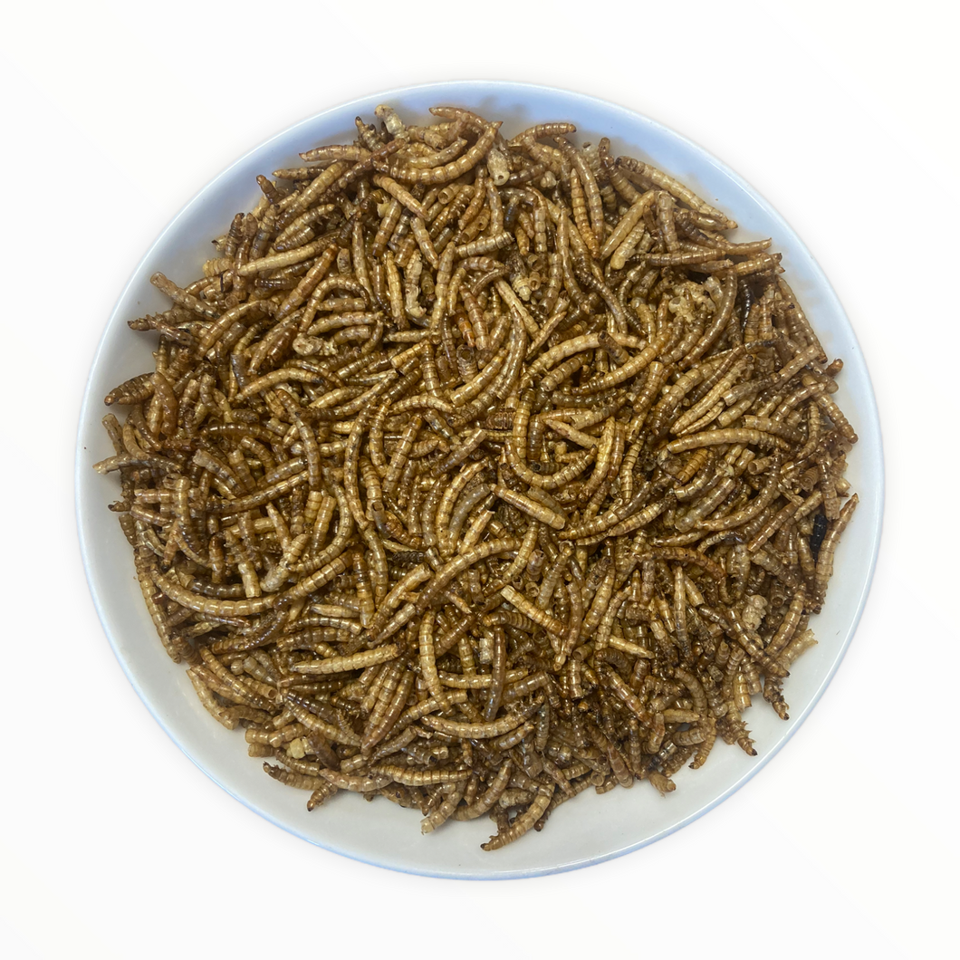 Meal Worms: 500g, 5kg & 15kg