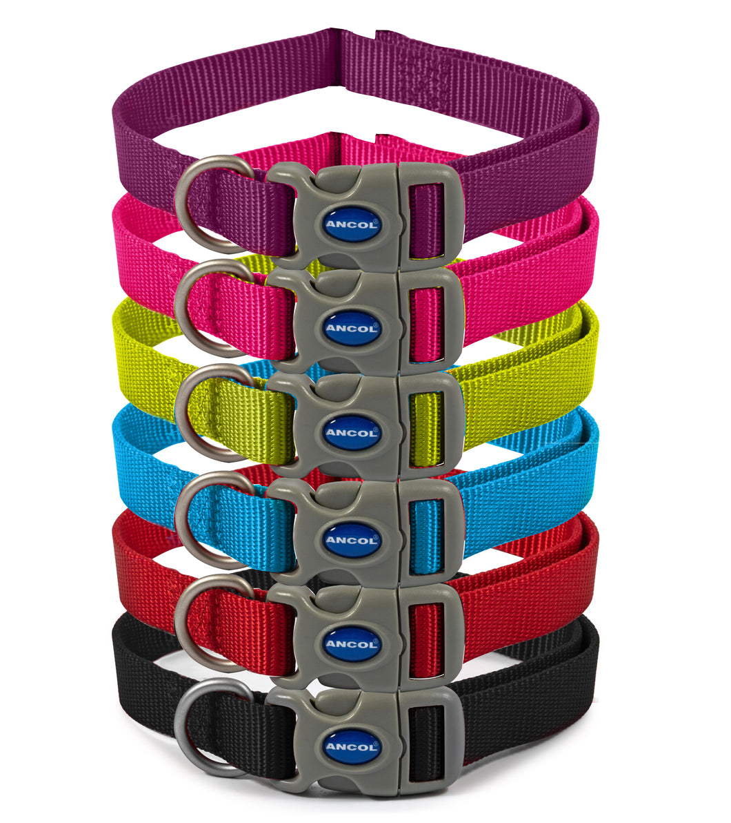 Viva Buckle Collar Size 1-2 20-30cm (Black, Blue, Red, Green, Purple, Pink)