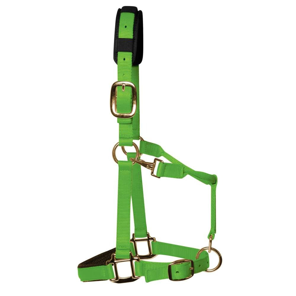 KM Elite HeadCollar L Full Green