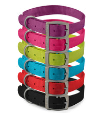 Load image into Gallery viewer, Viva Collar Size 5 (Black, Blue, Red, Green, Purple, Pink)

