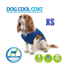 Load image into Gallery viewer, Ancol Cooling Coat XSmall
