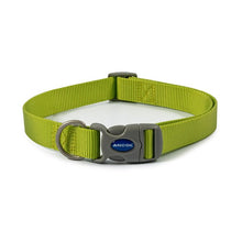 Load image into Gallery viewer, Viva Buckle Collar Size 5-9 45-70cm (Black, Blue, Red, Green, Purple, Pink)
