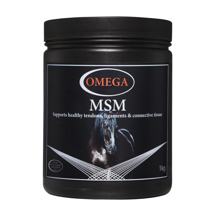 Omega MSM 1kg - Forest Pet Supplies