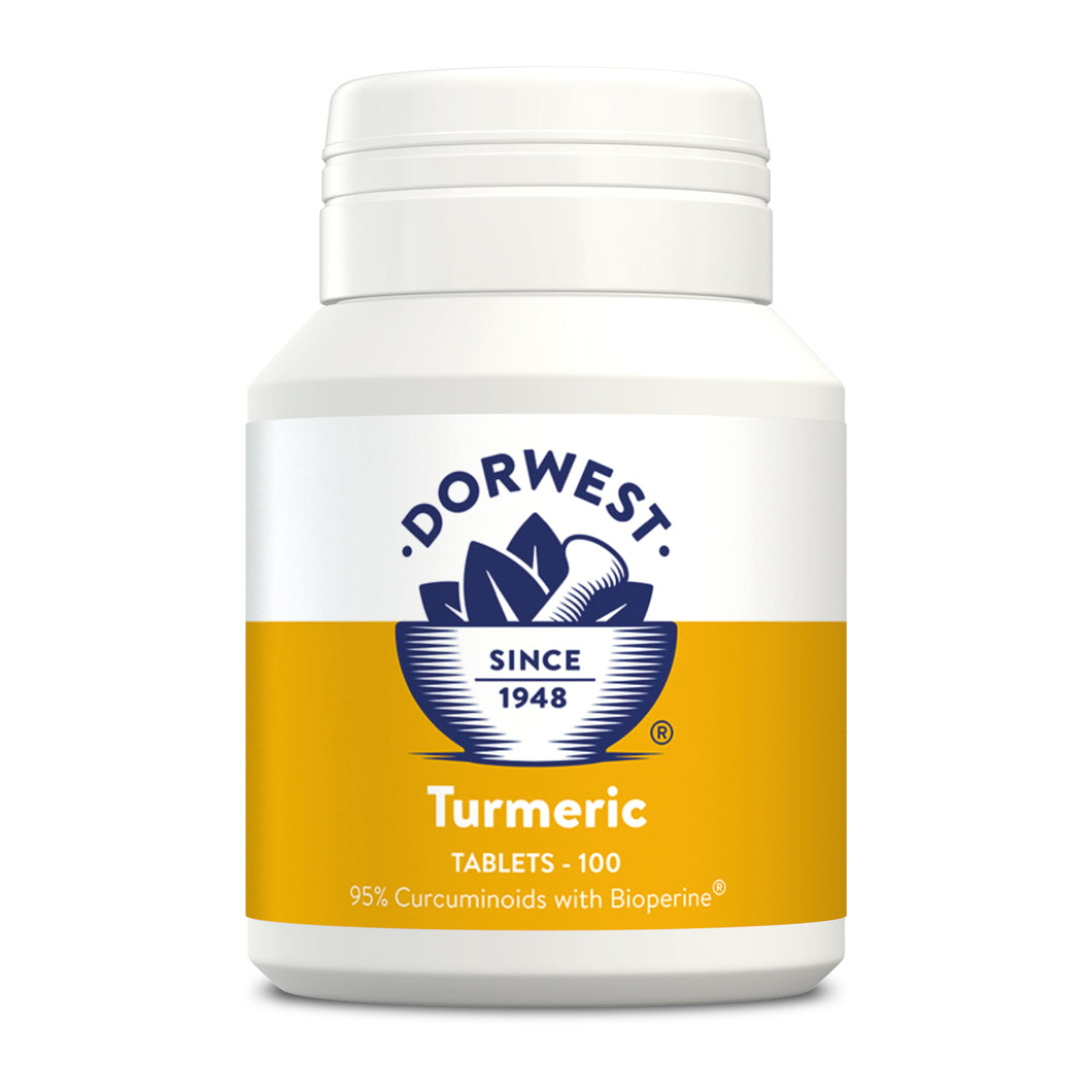 Dorwest Turmeric 100 Tablets