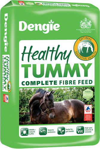 Dengie Healthy Tummy 20kg - Forest Pet Supplies