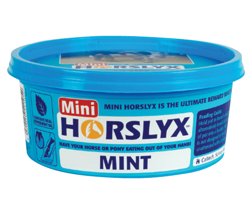 Mini Horslyx Mint 650g